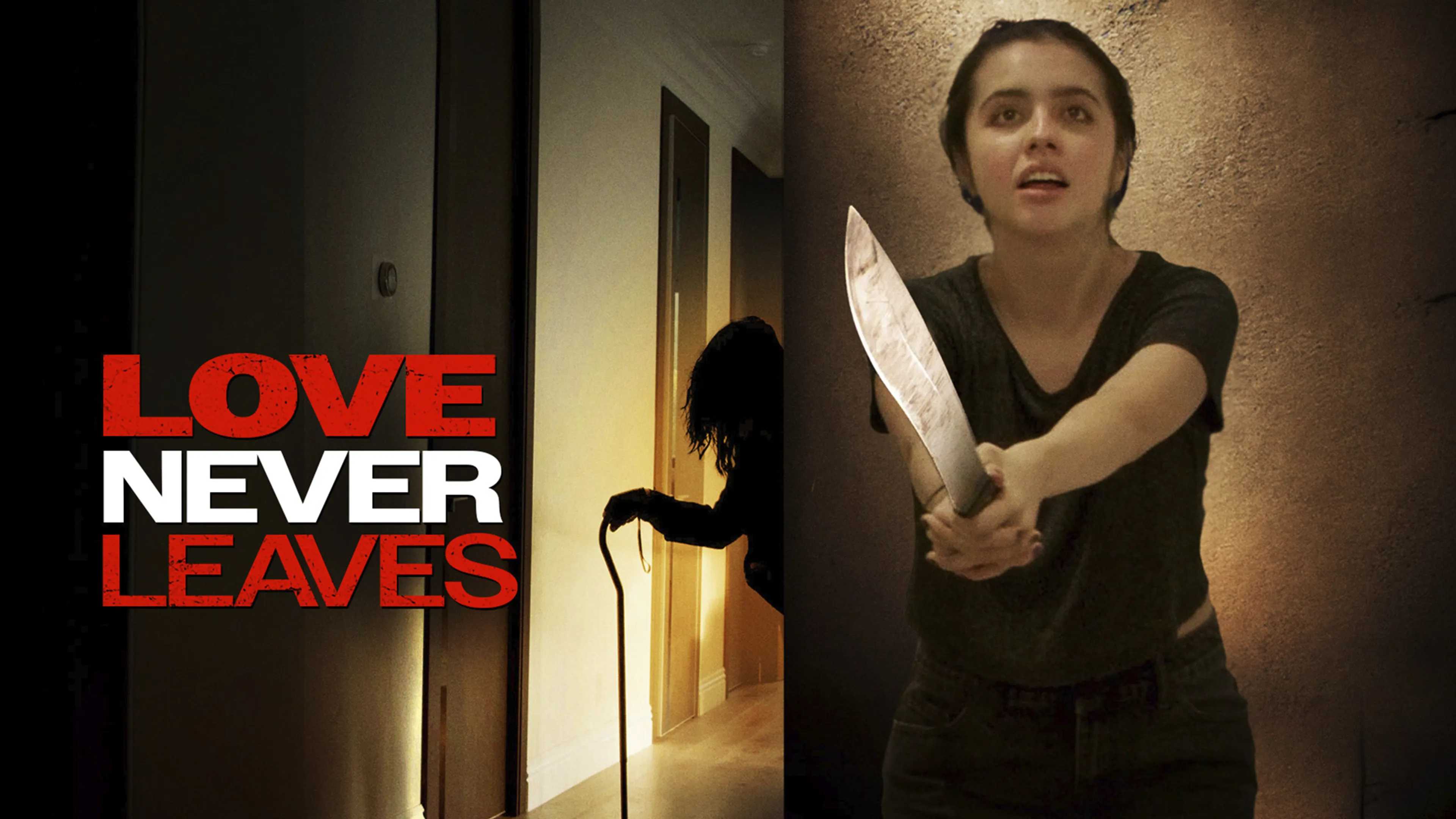 Love Never Leaves poster